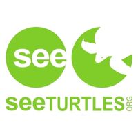 SEE Turtles