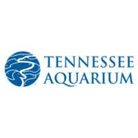Tennessee Aquarium